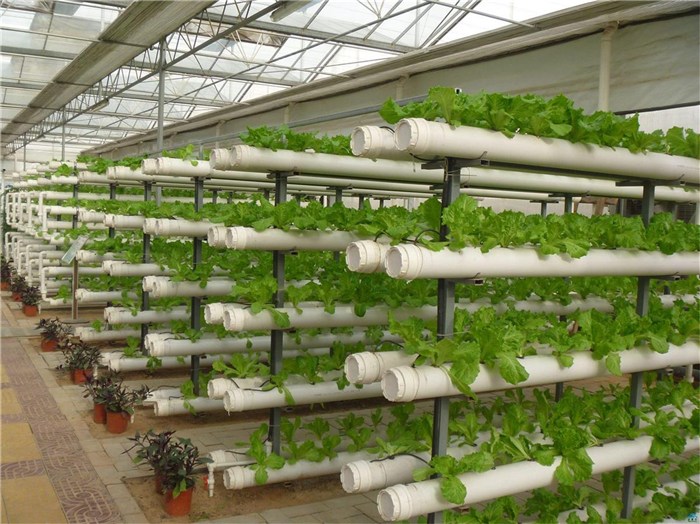 金华市大田灌溉种植槽 - 厂家