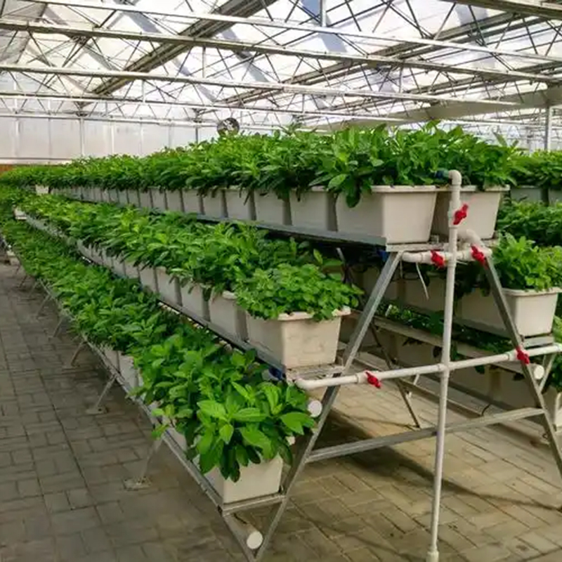 金华市植物工厂鱼菜共生 - 排名